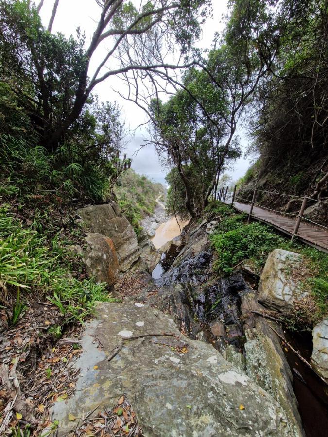 Milkwood Country House ポート・エリザベス エクステリア 写真